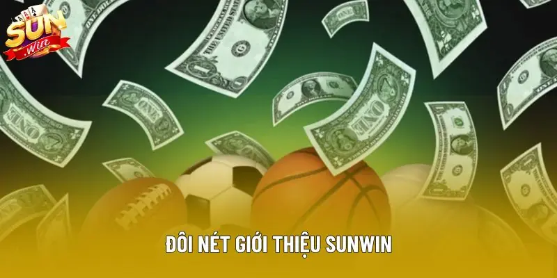 Đôi nét giới thiệu Sunwin